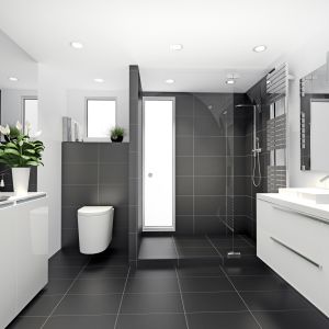 Badezimmer in schlichtem Schwarz-Weiß